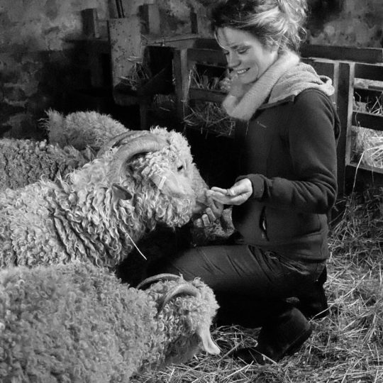 marilyne miam chevres ng(2)