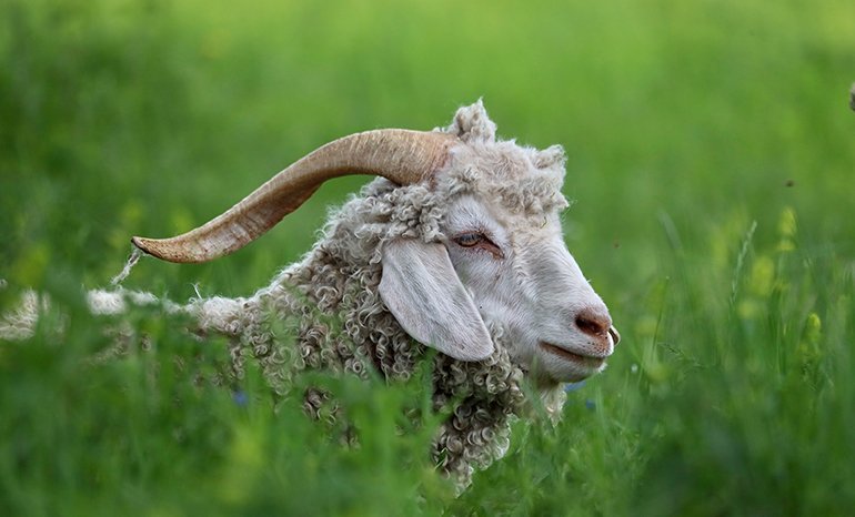 Une année de douceur